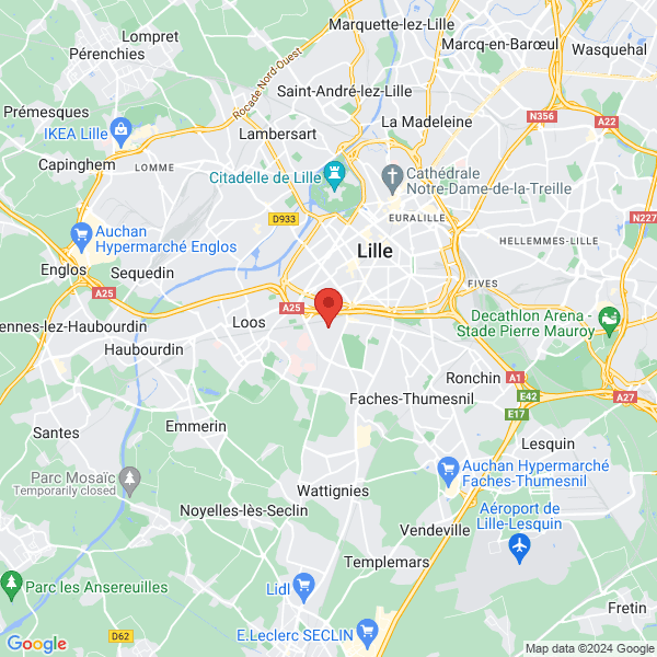 Lille - Google map
